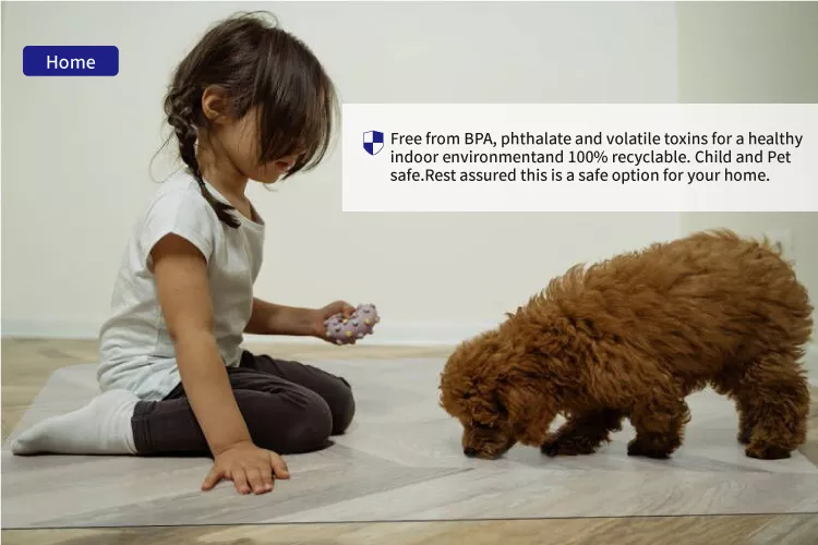 Office Chair Mat for Hardwood Floor Protector